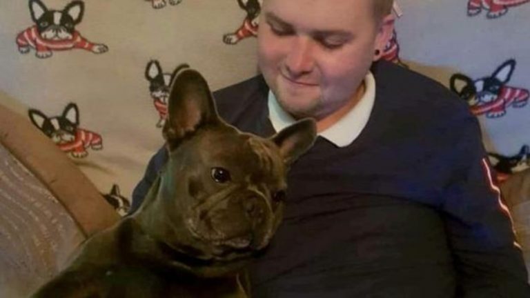 La historia de Nero, el perro que murió 15 minutos después que su dueño