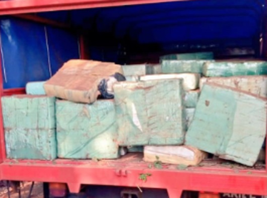 El cargamento de marihuana incautado en paraje Cuatro Bocas arrojó un total de 4.450 kilogramos