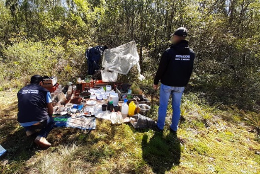 Desarmaron cultivo de marihuana oculto en un malezal de San Vicente