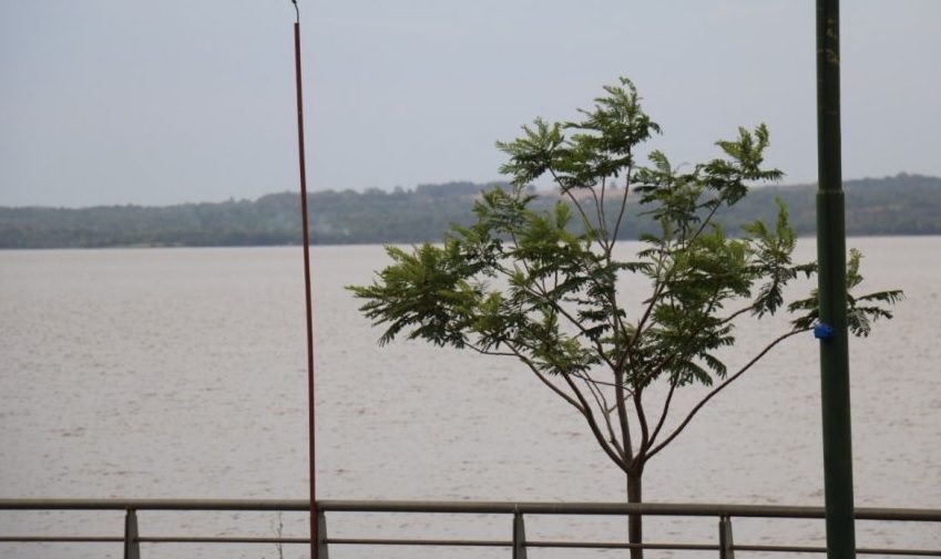 Tiempo: sábado con nubosidad variable y probabilidad de lluvias aisladas