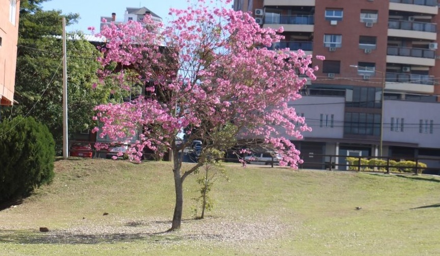 Tiempo: la primavera inicia con un sol radiante y una máxima de 27°C
