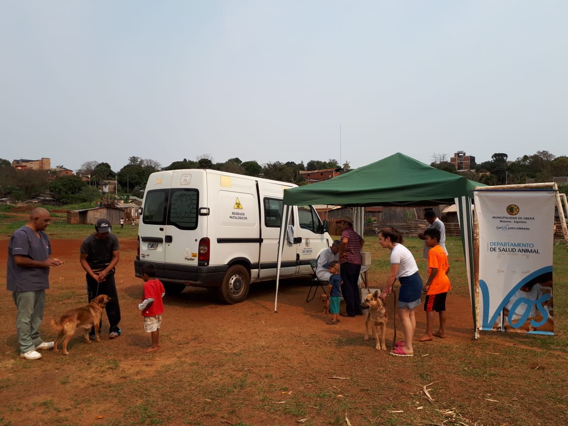 Avanza la Campaña de Vacunación Antirrábica en Oberá