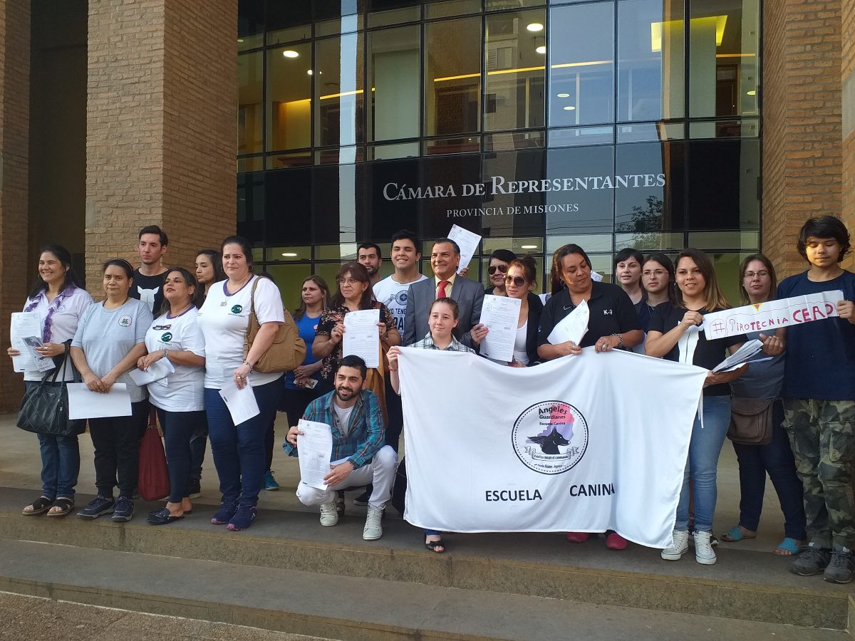 Pirotecnia cero en Misiones: asociaciones civiles se movilizan para pedir la aprobación de la ley