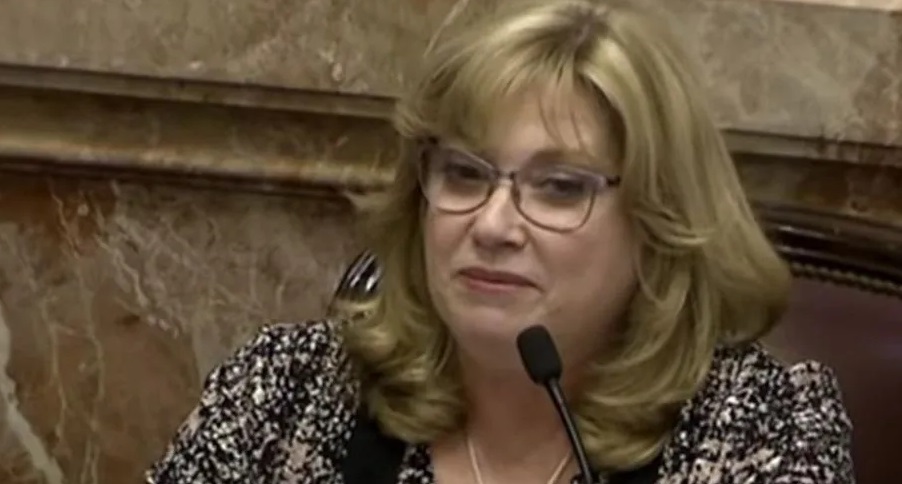 Congreso: senadora pide declarar la emergencia farmacológica por 180 días