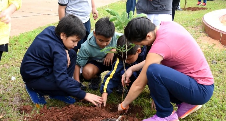Posadas: el Municipio lleva plantados más de 12.000 árboles este año