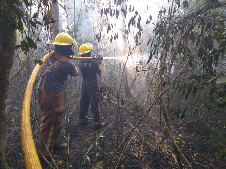 Multaron por más de 350 mil pesos a infractor que inició incendio en 2000 hectáreas de Puerto Iguazú