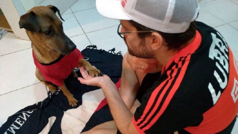 Un hincha vende su entrada de la Copa Libertadores para salvar a su perro con cáncer