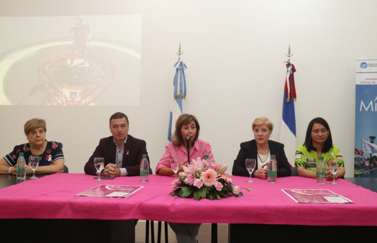 Misiones se viste de rosa: presentaron las actividades que se realizarán para concientizar y prevenir el cáncer de mama