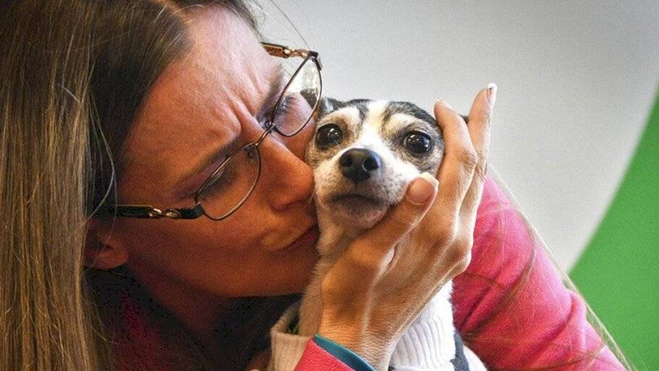 Se reencontró con su perra 12 años después y a 1.600 kilómetros de su casa