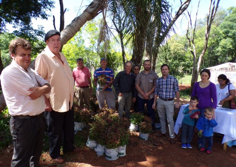 Programa Leña Renovable: entregaron plantines de Eucalipto en Oberá