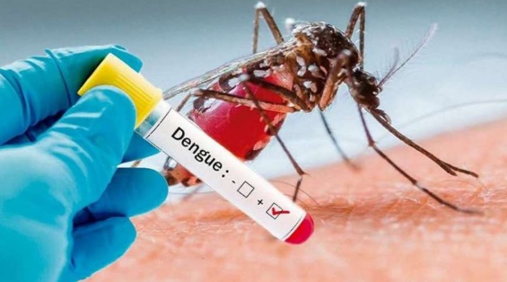 El dengue alcanzó su máximo histórico en América Latina