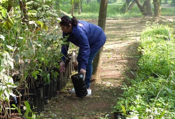 Este sábado realizarán una jornada de intercambio de semillas en el vivero municipal de Posadas