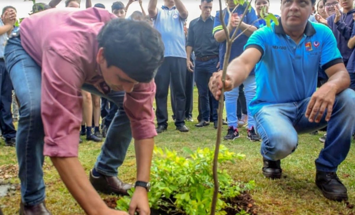 Se plantó el árbol 20 mil en la plaza San Miguel de Posadas