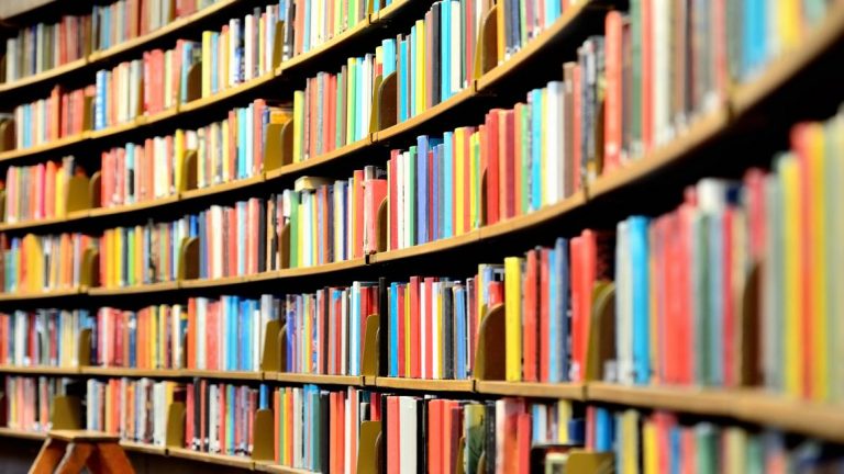 A partir del 2020, la UNaM dictará Bibliotecología en Eldorado