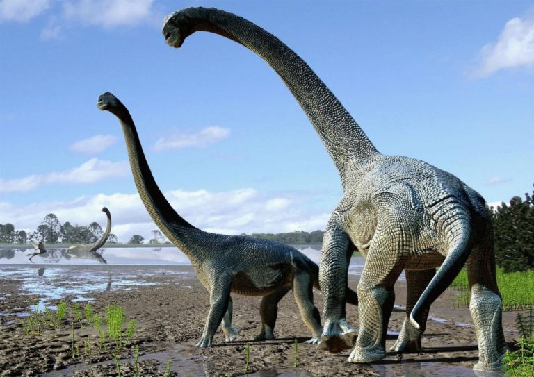Neuquén: encontraron restos fósiles de un Titanosaurio de 85 millones de años