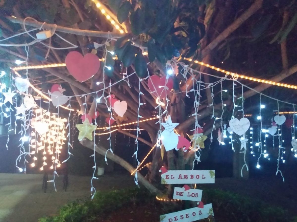 El Hogar de Día encendió su árbol de Navidad