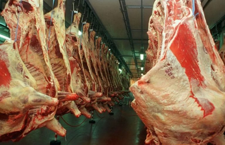 La exportación de carne vacuna batió otro récord y superó los US$ 2.400 millones en octubre
