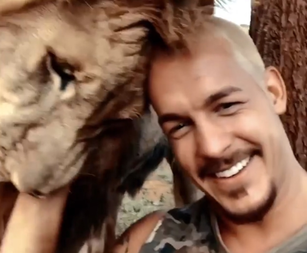 La escena entre un león y su cuidador que causó ternura en las redes