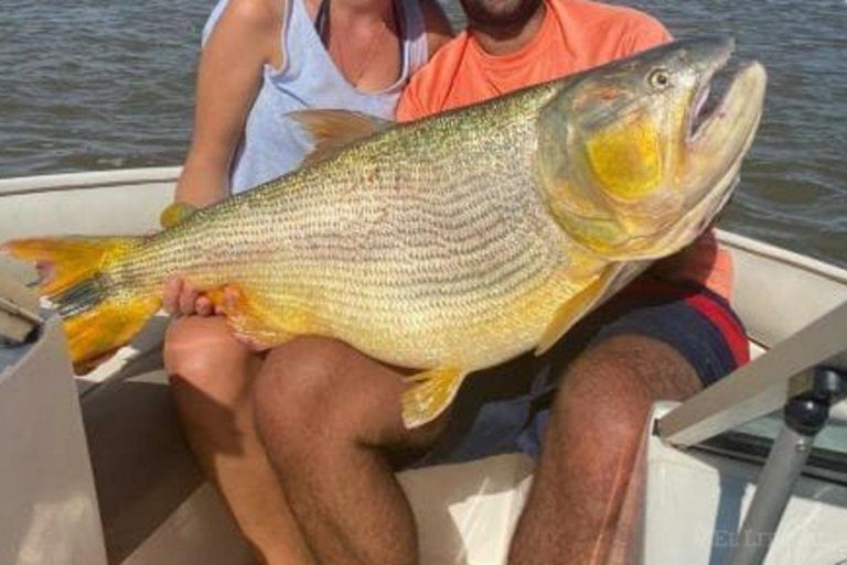 Río Paraná: un pescador de Corrientes sacó un dorado de 22 kilos