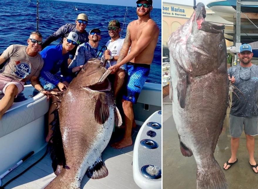 Sacó un pez de 50 años y casi 160 kilos en peligro de extinción