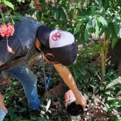 Lucha contra el dengue: refuerzan operativos de prevención en diferentes localidades misioneras