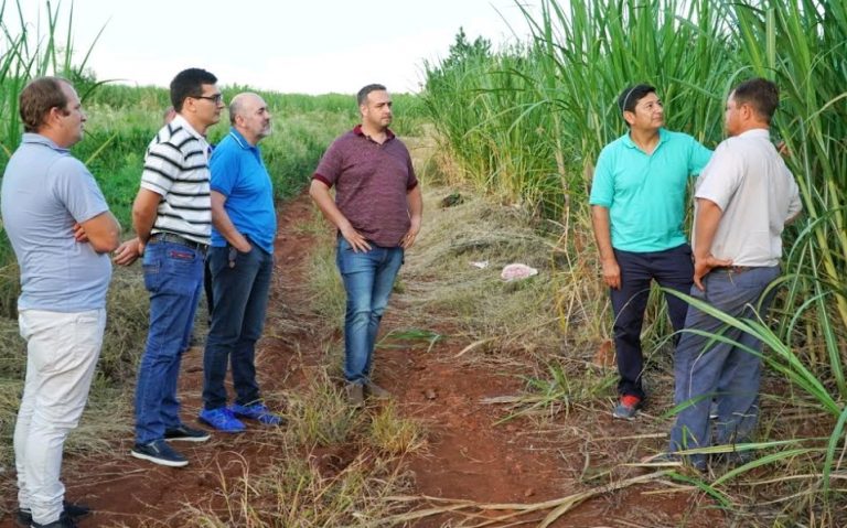 Cuenca cañera: IFAI y productores buscan aumentar la producción de azúcar rubio