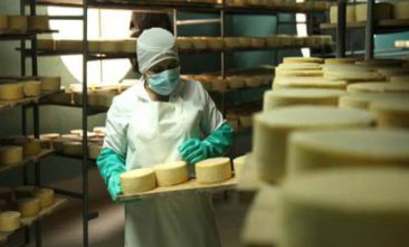 Las pymes perdieron 11.700 empleos durante 2019