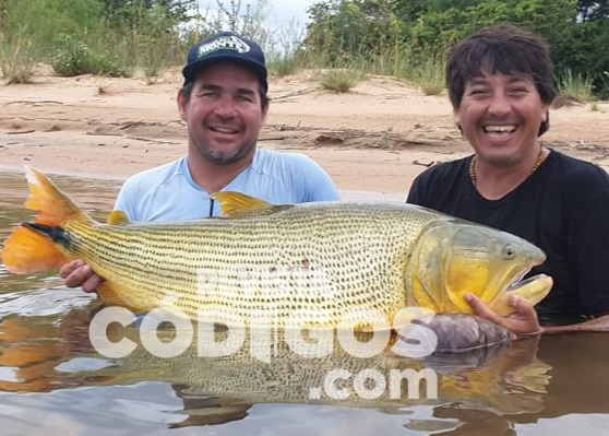 El Paraná sigue dando que hablar: ahora un posadeño pescó un dorado de más de 27 kilos en Yahapé