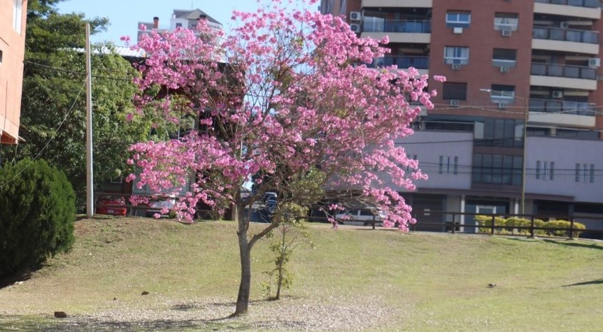Tiempo: viernes soleado y estable