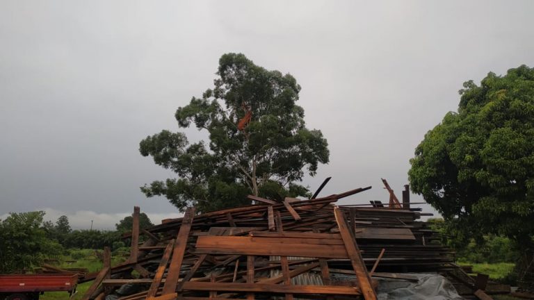 Anegamientos, caída de árboles y voladuras de techos: lo que produjo el tornado en Posadas