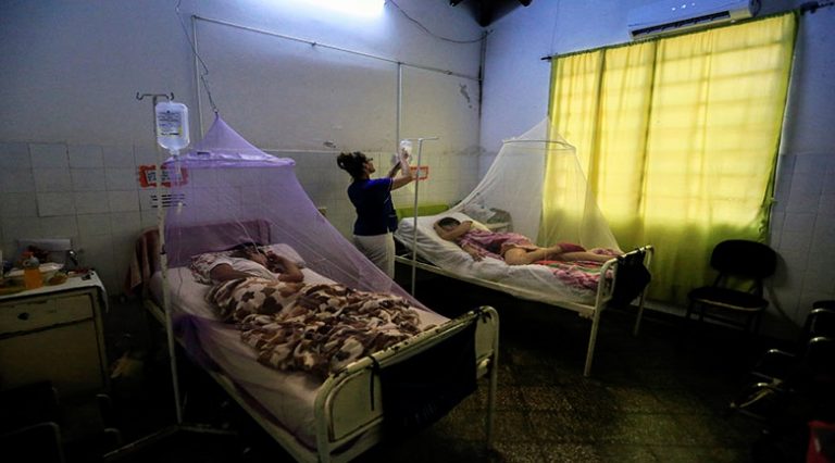 Epidemia de dengue en Paraguay: ya hay más de 2000 afectados