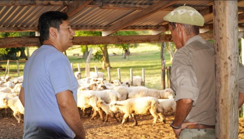 Cuenca ovina y caprina: el IFAI acerca créditos, asesoramiento profesional y capacitación a productores