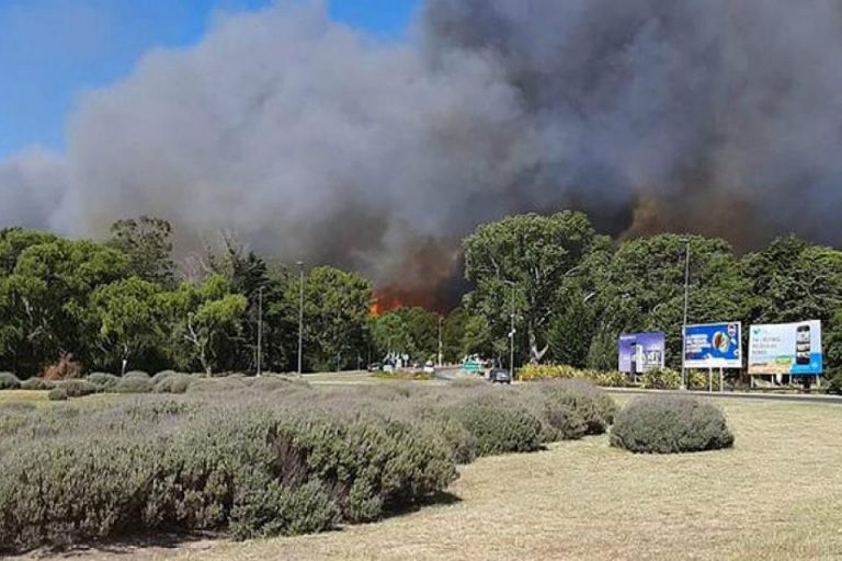 Villa Gesell: voraz incendio arrasó con más de 50 hectáreas de pastizales y bosque