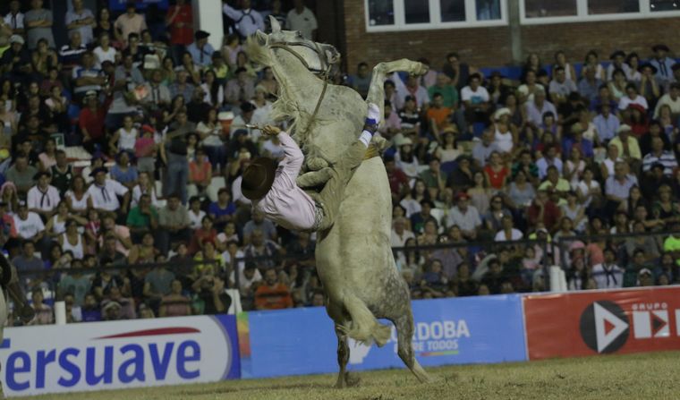 Jesús María: un jinete murió aplastado por su caballo en la doma del festival