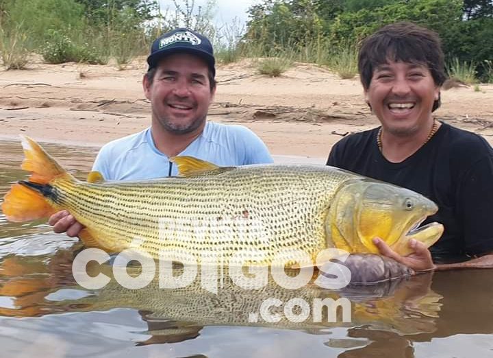 El Paraná sigue dando que hablar: ahora un posadeño pescó un dorado de más de 27 kilos en Yahapé