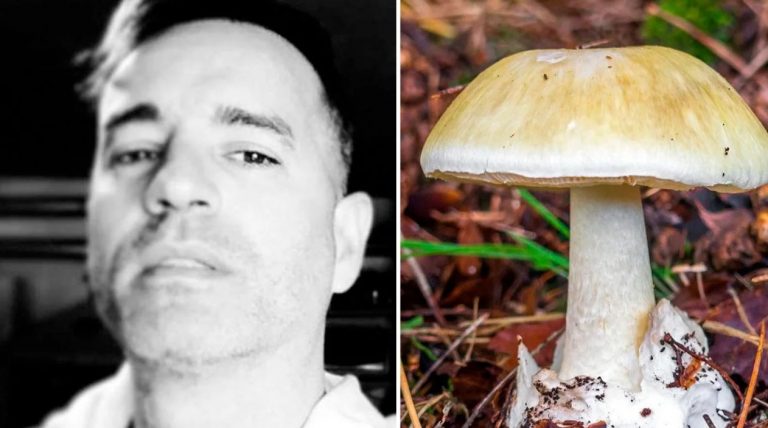 Murió el turista que comió un hongo venenoso en Córdoba