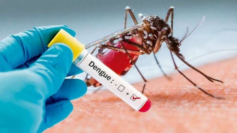 Universitarios argentinos desarrollaron un método para detectar el dengue en 10 minutos