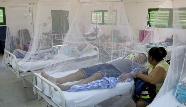 Dengue: en Paraguay hay 34 muertos, 11.300 casos confirmados y más de 135.000 sospechosos