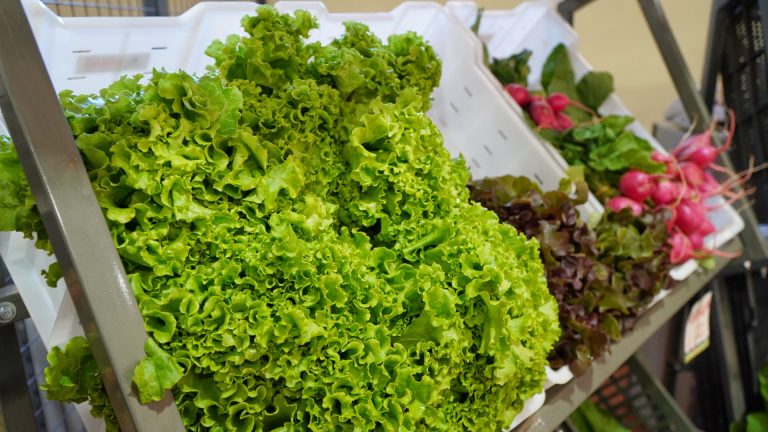 Un “combo verde” es una de las propuestas de los productores en el Mercado de Oberá