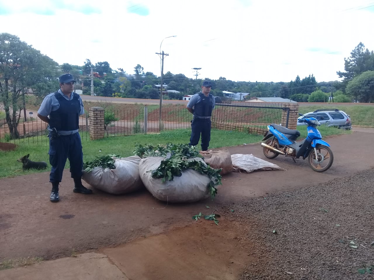 Recuperaron 400 kilos de hoja de yerba robada en el Paraje Tobuna