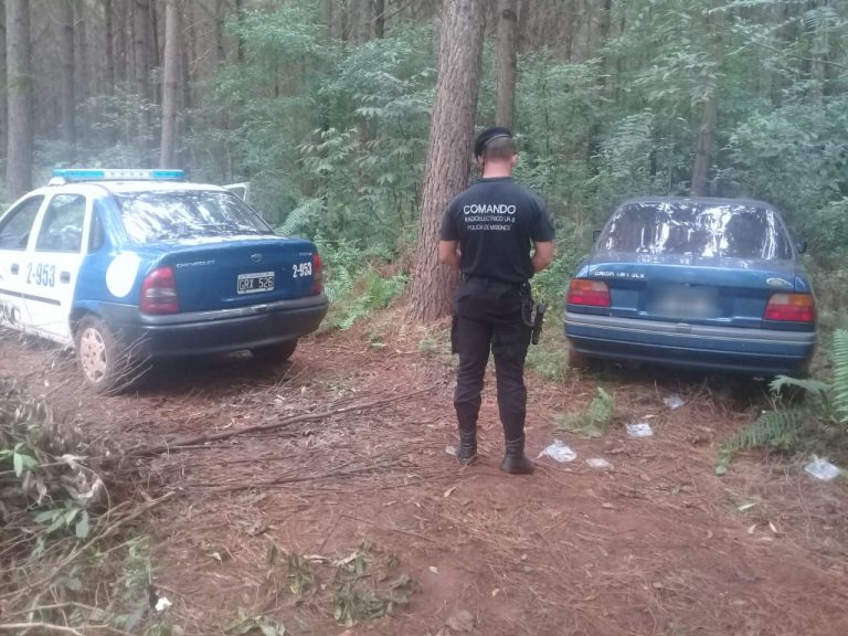 Eldorado: recuperaron un automóvil que fue robado y oculto en un pinar