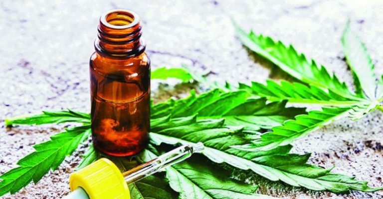 Cannabis medicinal: Nación estudia habilitar el cultivo personal y la venta de aceites en farmacias