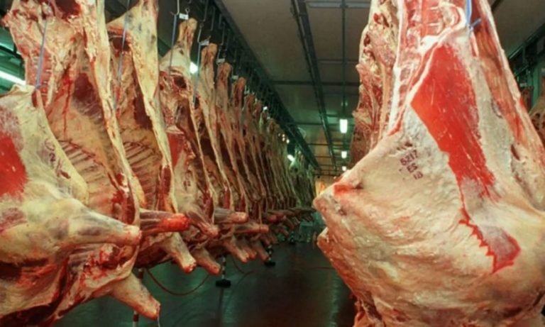 Exportación de carne argentina hacia China cayó un 30% durante enero