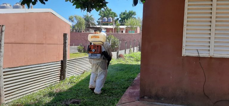 Realizan un nuevo operativo contra el dengue en Posadas