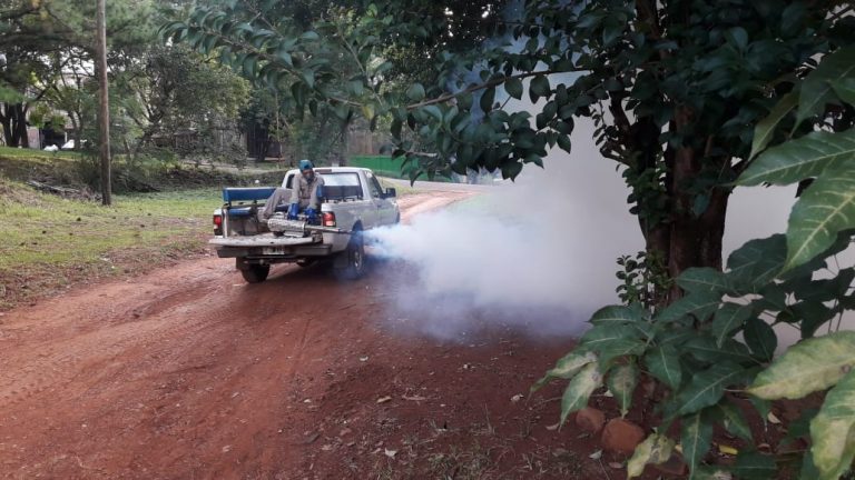 Intensa jornada de lucha contra el dengue en toda la Provincia