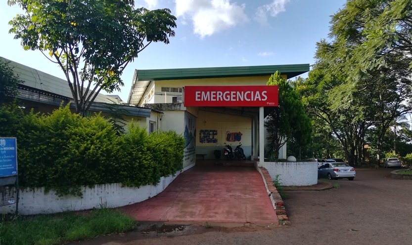 Asistieron a 23 personas por ataque de avispas en Alem