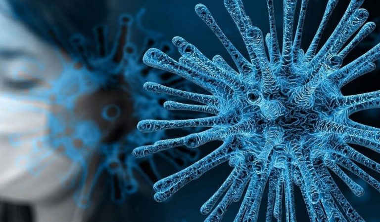 Coronavirus: siguen siendo dos los infectados y hay 496 aislamientos voluntarios en Misiones