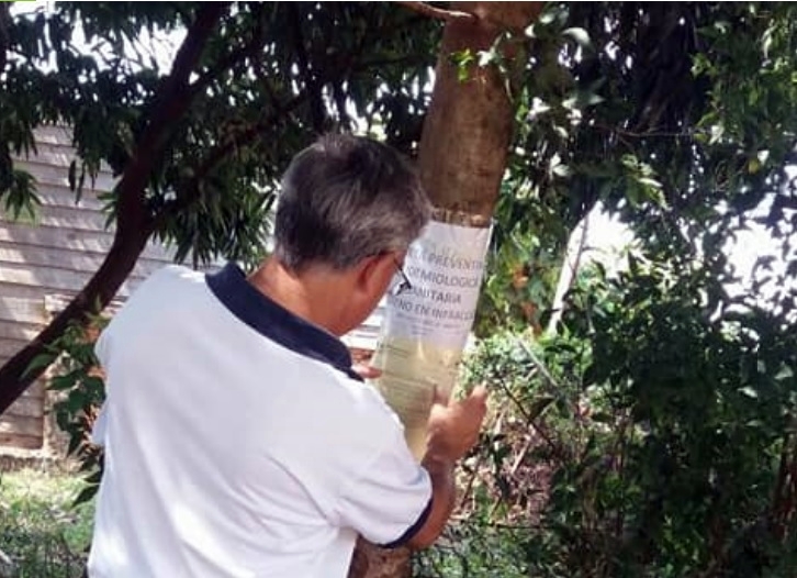 Instan a los vecinos a redoblar la limpieza de terrenos en Posadas