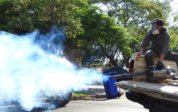 Lucha contra el dengue: continúan los operativos de prevención en Posadas