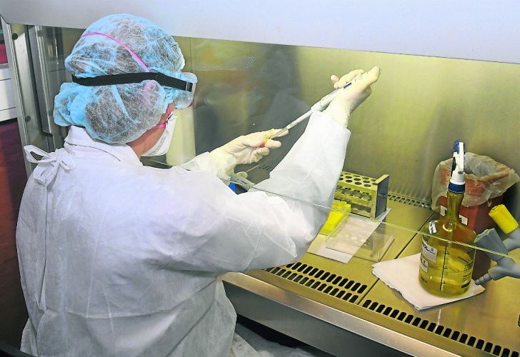 Coronavirus en Misiones: el paciente infectado evoluciona bien y los aislamientos voluntarios aumentaron a 495